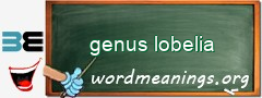 WordMeaning blackboard for genus lobelia